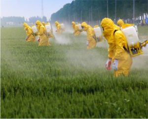 Pesticide Industry